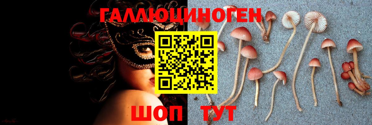 Псилоцибиновые грибы прущие грибы  Галлюциногенные грибы Magic Shrooms  Вход с VPN  Новочеркасск 