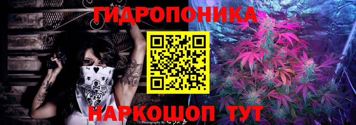 Бошки марихуана план  Вход с VPN  Новочеркасск  Марихуана AK-47 
